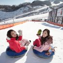 곤지암리조트스키장곤지암눈썰매장 파이낸셜뉴스