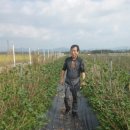 계월농장 이미지