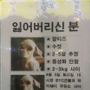 강아지(말티즈) 임보중이에요 (인천) +인천 남동구 만수동 (하이웨이주유소) 이미지