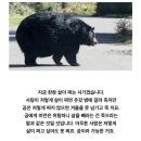 프렌즈독 이미지