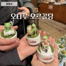 오타루 오르골당 가격 시간 면세 후기 오타루여행 코스1