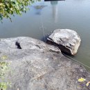 유등농장 이미지