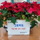 그린가게
