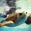 분수3리 | [설화] 구토지설