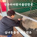 앤(N)고양이병원 | 청주아이랑가볼만한곳 실내동물원 버드앤쥬 방문후기