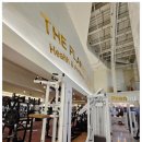 성부빌딩 | 해운대 장산역 PT 헬스장 더플래닛짐 솔직후기｜최신 머신과 넓은 공간 운동하기 좋은 곳