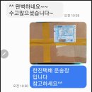 드림수선