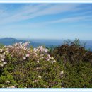 환상의 추억 이미지