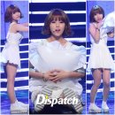 러블리독 이미지