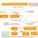 Re: steller님 질문있습니다(PMBCL) 이미지