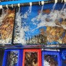 청춘수산 이미지