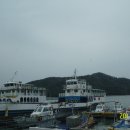 수림관광여행사