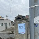 영희네돌담집_안단테 | 제주 함덕 감성숙소 영희네돌담집 _안단테 다시가고싶어
