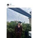 다정한파도 이미지