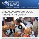 스타나이트클럽 이미지