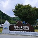 성보목장 | 영천 은해사 수목장,자연 속 평온한 아버지의 안식처 수목장 가격및위치 장점 완벽정리