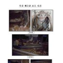 옥상 하수관 보수 및 침전물 제거 공사 (2011. 9. 28 ~ 29) 이미지