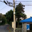 레뷰즈 맨션 이미지