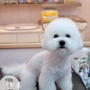 뷰티몽냥 이미지