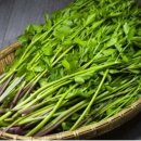 미나리슈퍼 이미지