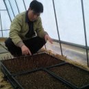 태안목장 이미지