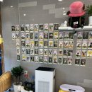 개깎쟁이 이미지