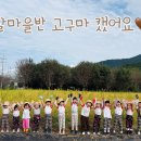 해피키즈유치원 이미지