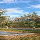 연평농장 이미지