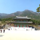 한방자연휴양림 이미지