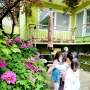 향기나무도서관 이미지