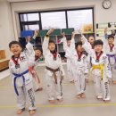 효경석사태권도 이미지