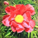 2021대구.경북연합예술제 종합전시회 | 2024 한국예술작가연합회 창립전 *_* 작품 소개