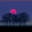 책과 글나무 이미지