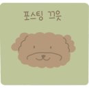 비비펫미용 이미지