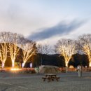 낙동강레포츠밸리 이미지