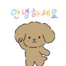 르셀크리닉의원 네이버블로그