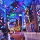 미디어아트<오로라를 이미지