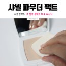 미미끄 | 샤넬 팩트, 르 블랑 컴팩트 10호 베이지