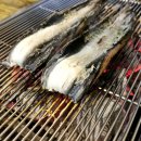 민물숯불장어 이미지