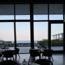 스시엔짬뽕 | 아난티 앳 부산 코브 주말 석식뷔페 다모임 솔직 후기 운영시간 예약