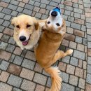 훈훈 농장 이미지