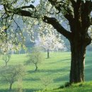 코모코한의원 이미지