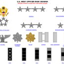 미국 군 부대편성 및 계급장 이미지