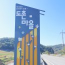 번재 경로당 | 2022 안동 예안 꽃천지 도촌마을 국화꽃밭 사진 촬영 다녀온 후기 (10.18)