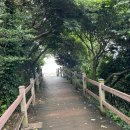 세리랜드