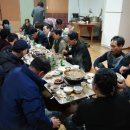 대벌농장 Daum카페