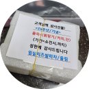키스임실치즈쌀피자 | 광안리 임실치즈쌀피자 먹어본 후기