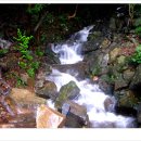 부여(백제)-08 이미지