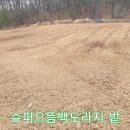 로타리슈퍼 - 포항시 북구 서동로 85 | 로타리슈퍼