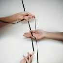 수 사회적협동조합 티스토리